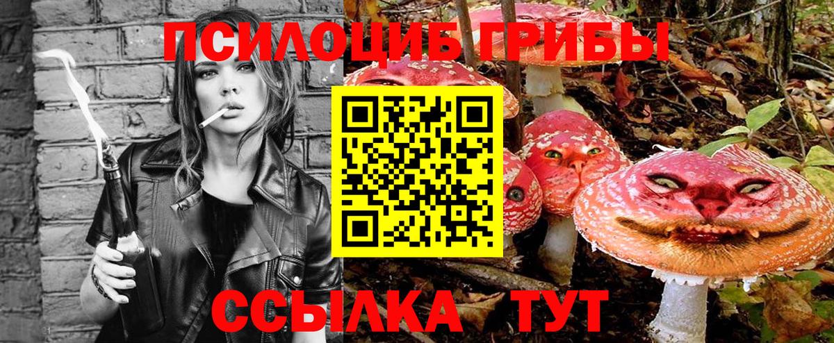 Лесозаводск  Псилоцибиновые грибы Cubensis  Вход с VPN 