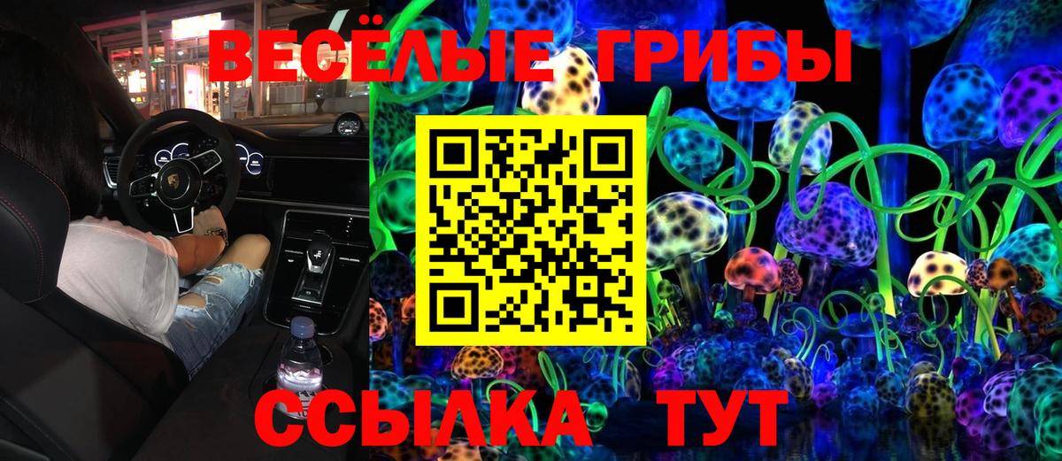 Галлюциногенные грибы Psilocybe Лесозаводск