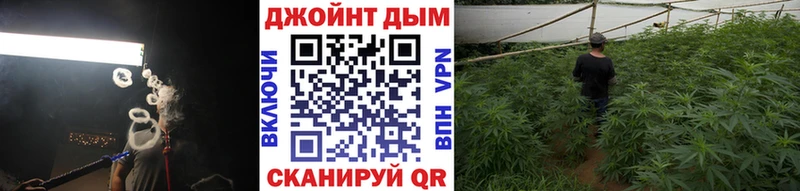 хочу наркоту  Лесозаводск  Марихуана сатива 